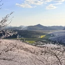 安顺旅游 缩略图 6