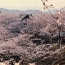 安顺旅游 缩略图 7