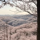 安顺旅游 缩略图 10