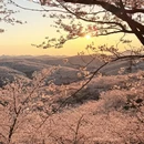 安顺旅游 缩略图 11