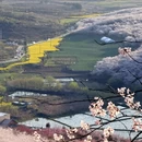 安顺旅游 缩略图 16