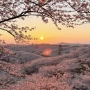 安顺旅游 缩略图 15