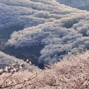 安顺旅游 缩略图 14