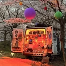 安顺旅游 缩略图 18