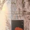 安顺旅游 缩略图 2