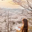 安顺旅游 缩略图 6