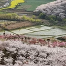 安顺旅游 缩略图 5