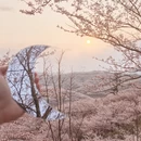 安顺旅游 缩略图 1