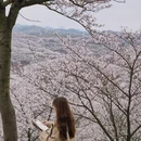 安顺旅游 缩略图 10