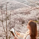 安顺旅游 缩略图 3