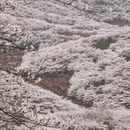 安顺旅游 缩略图 11