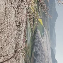 安顺旅游 缩略图 9