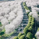 绍兴旅游 缩略图 1