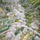 绍兴旅游 缩略图 1