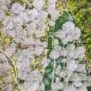 绍兴旅游 缩略图 2