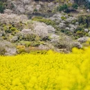 绍兴旅游 缩略图 10