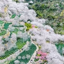绍兴旅游 缩略图 3
