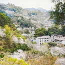 绍兴旅游 缩略图 16