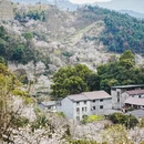 绍兴旅游 缩略图 14
