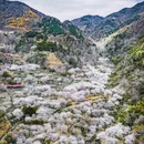 绍兴旅游 缩略图 13