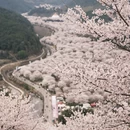 绍兴旅游 缩略图 5