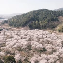 绍兴旅游 缩略图 6