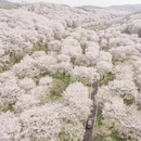 绍兴旅游 缩略图 1