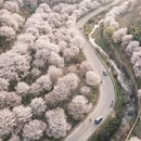 绍兴旅游 缩略图 2