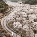 绍兴旅游 缩略图 3