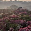 遵义旅游 缩略图 2