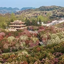 遵义旅游 缩略图 5