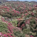 遵义旅游 缩略图 6