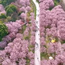 湖州旅游 缩略图 1