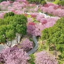 湖州旅游 缩略图 15