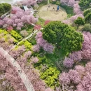 湖州旅游 缩略图 14