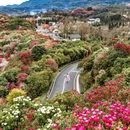毕节旅游 缩略图 1