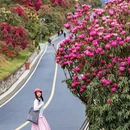 毕节旅游 缩略图 2