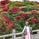 毕节旅游 缩略图 6