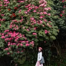 毕节旅游 缩略图 7