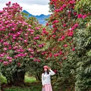 毕节旅游 缩略图 4