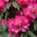 毕节旅游 缩略图 9