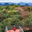 毕节旅游 缩略图 16