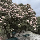 毕节旅游 缩略图 18