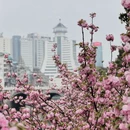 贵阳旅游 缩略图 17