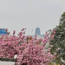 贵阳旅游 缩略图 16