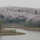 贵阳旅游 缩略图 5