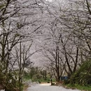 贵阳旅游 缩略图 3