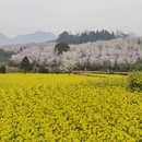 贵阳旅游 缩略图 7