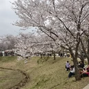 贵阳旅游 缩略图 8