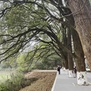 贵阳旅游 缩略图 13